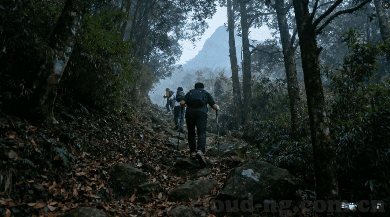 星空体育app下载地址-探索星空体育app，连接虚拟与现实的桥梁